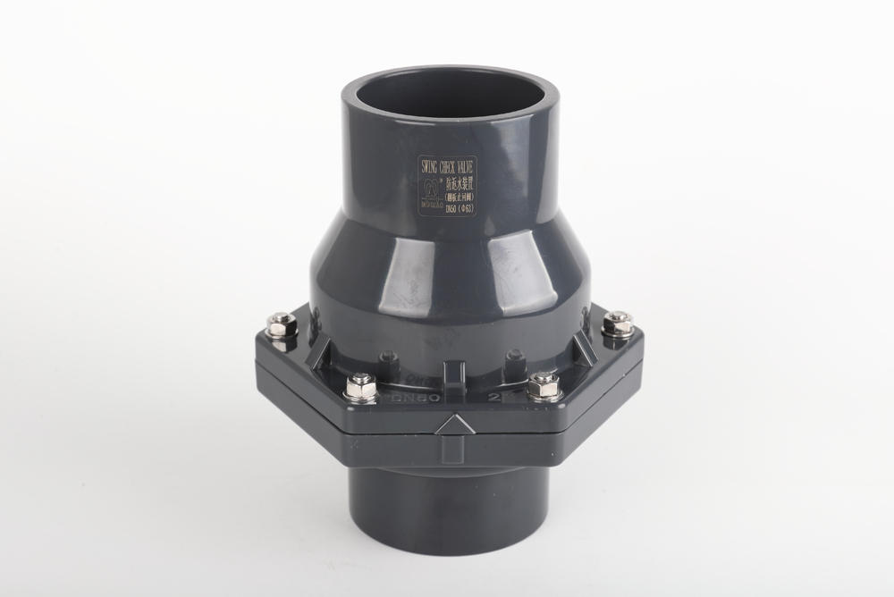 丹寨翻板式止回阀