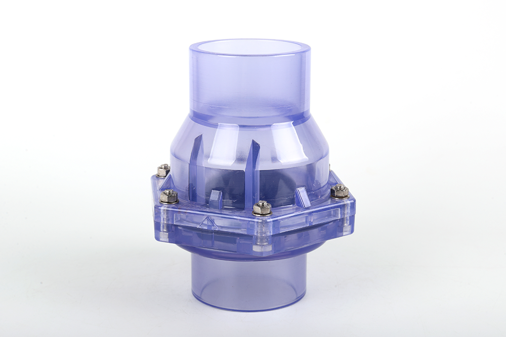 丹寨透明翻板式止回阀